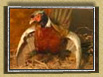 A pair of ring-necked pheasants; South Dakota's state bird.